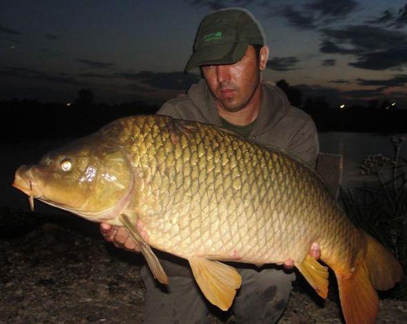 Hermes Peris 17 - 19 iul. - 4.JPG